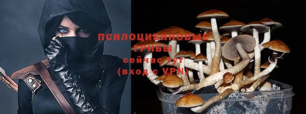 соль ск Верея