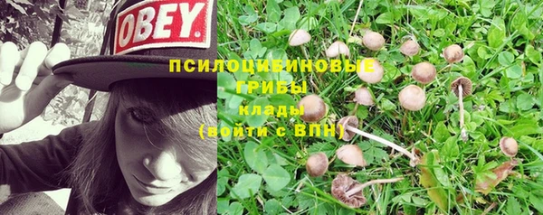марки lsd Верхний Тагил