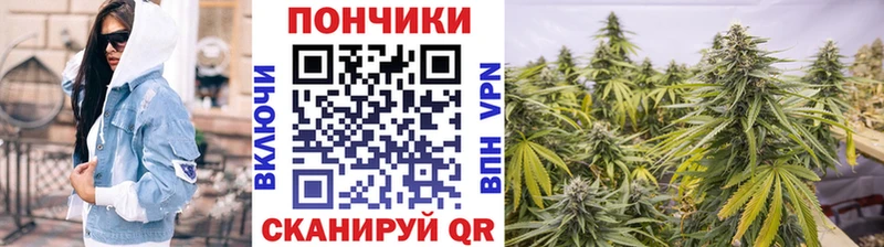 где купить   Гаврилов-Ям  мориарти как зайти  Шишки марихуана марихуана 
